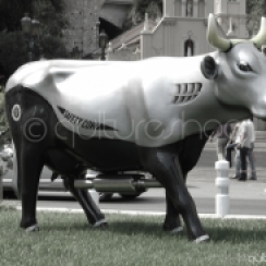 Safety Cow